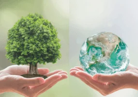 Celebrating World Environment Day: Driving Sustainability with ...