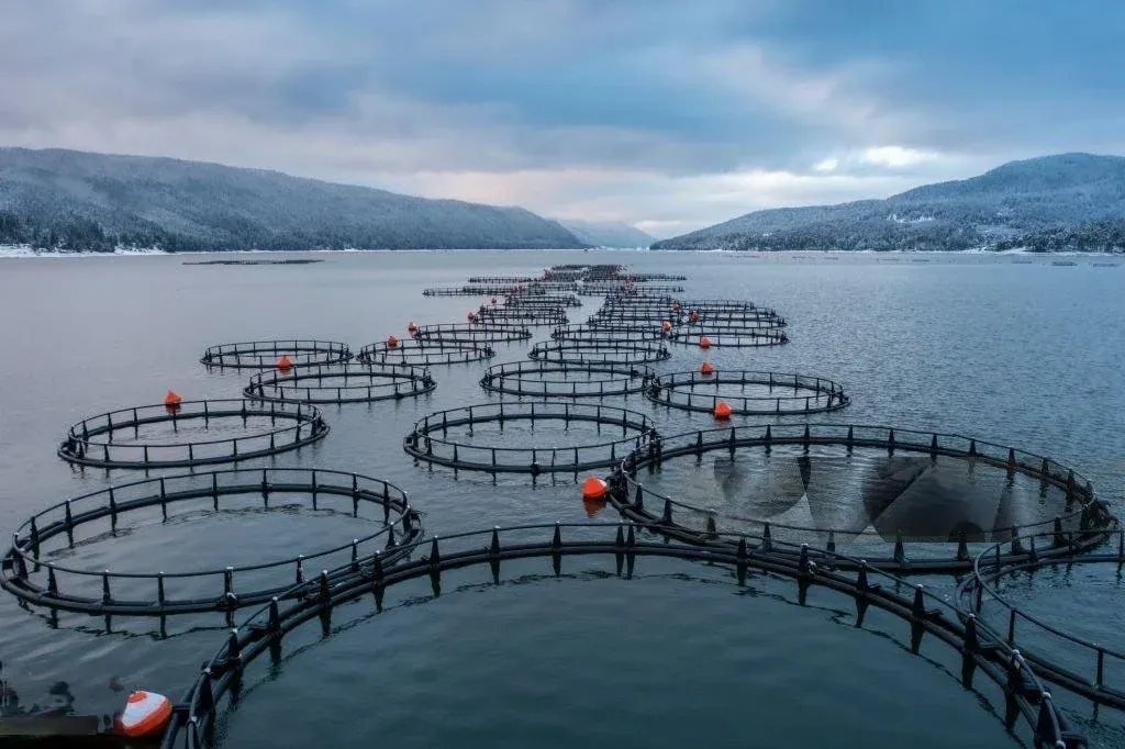 Aquaculture