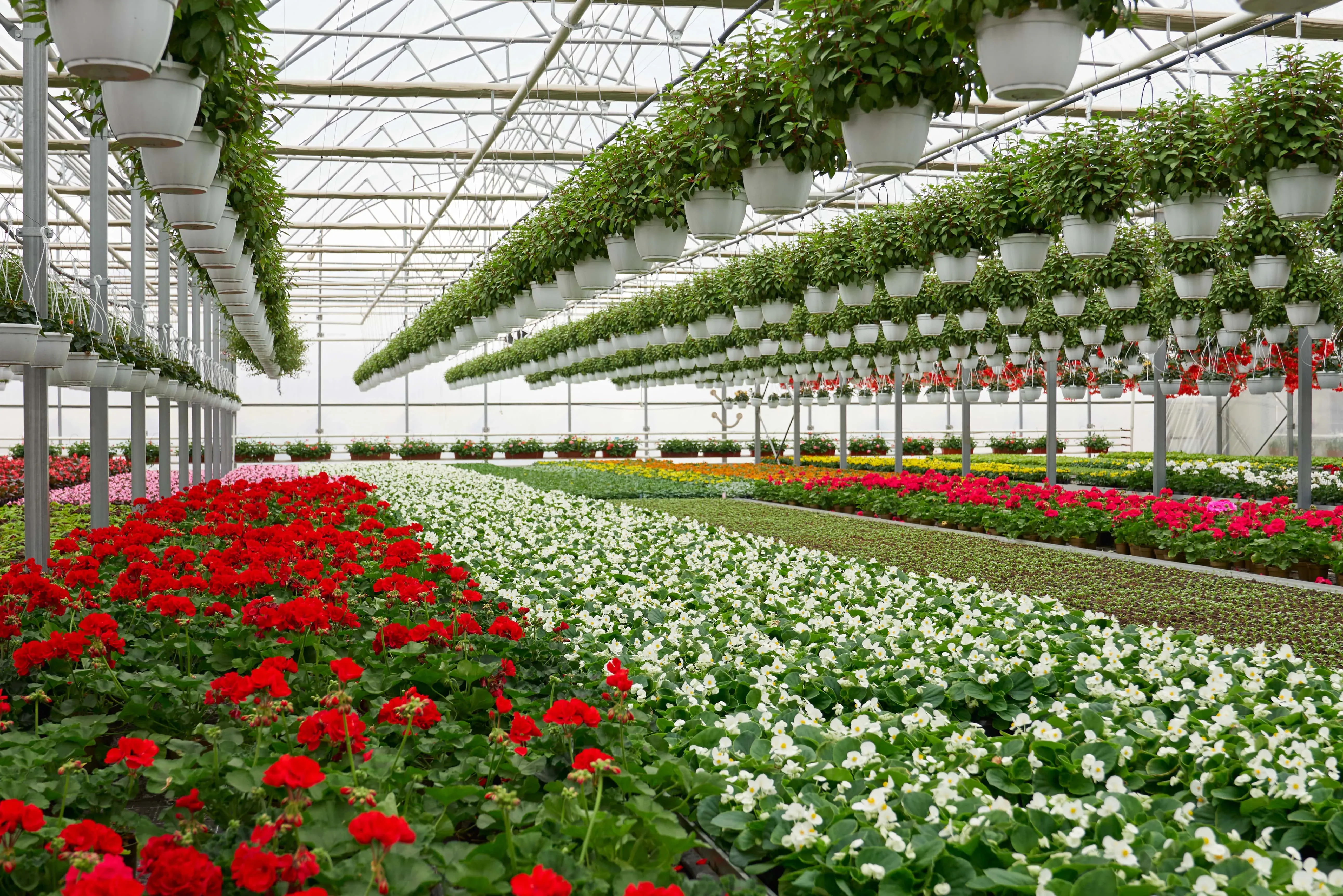 Floriculture