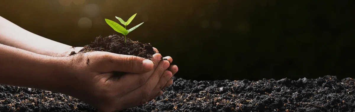Celebrating World Soil Day