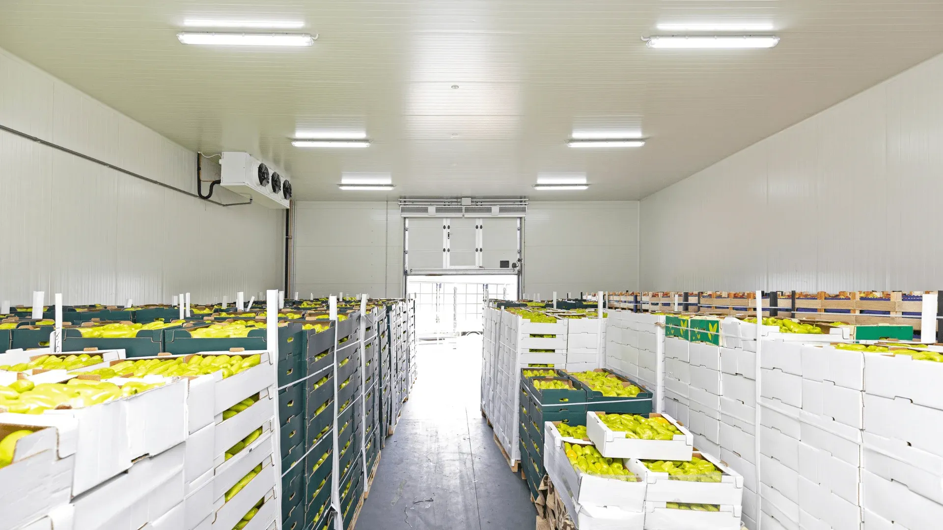 Cold Chain