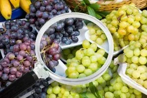 Enhanced Food Safety