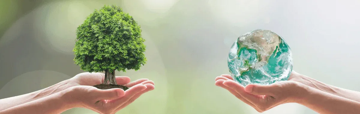 Celebrating World Environment Day