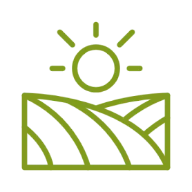 Deployed Sensor Nodes Across the Farm for Real-Time Data