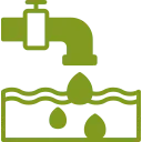 Irregular Water Supply Damaged Plants
