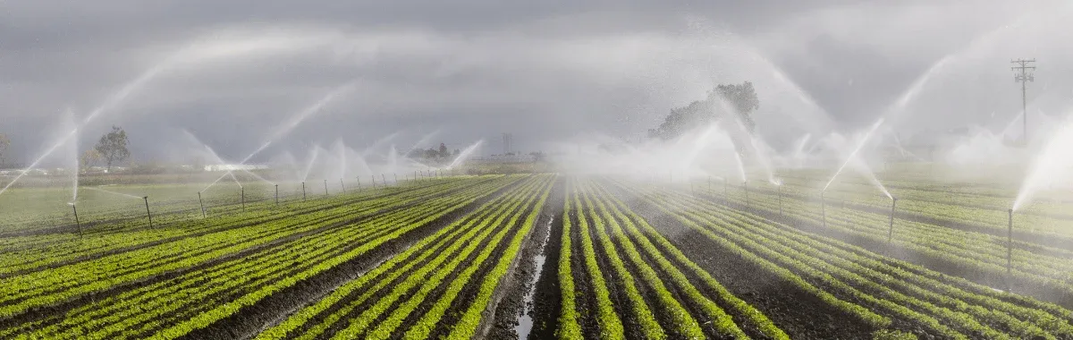 Revolutionizing Agriculture with Advanced Water and Irrigation Solutions