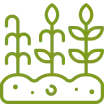 Significant Post-Harvest Losses